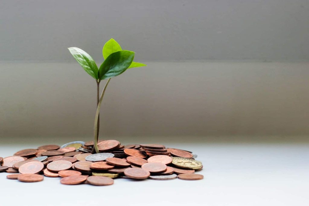 Image of a plant sprouting from money, showing a new start and growth.